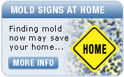 Mold signs at home
