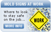 Mold signs at work
